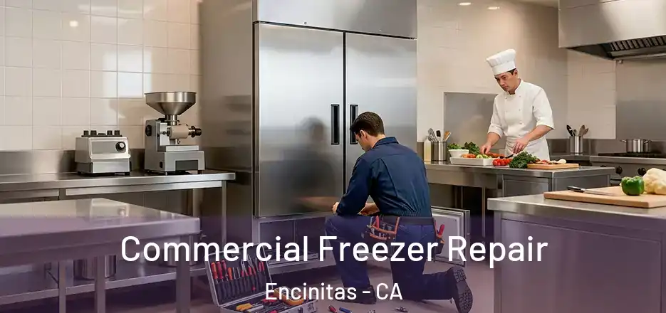 Commercial Freezer Repair Encinitas - CA