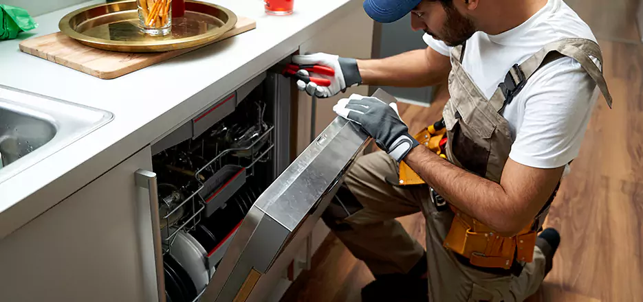 Same Day Dishwasher Not Draining Repair in Encinitas