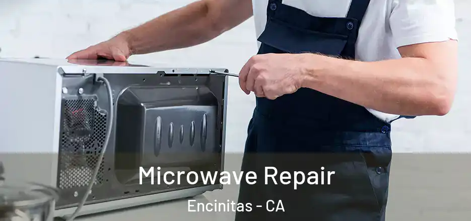  Microwave Repair Encinitas - CA