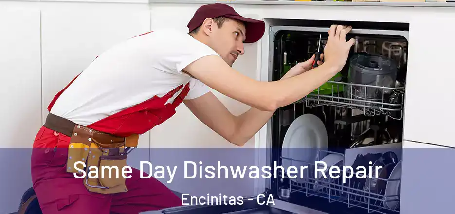 Same Day Dishwasher Repair Encinitas - CA